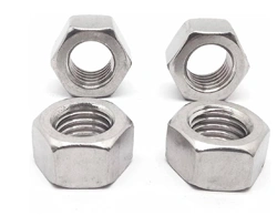 Hastelloy C22 Hex Nuts